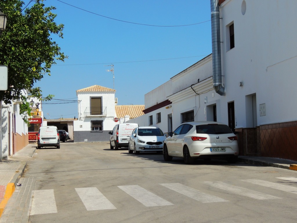 Foto: Calle Alperchite - Coto de Bornos (Cádiz), España