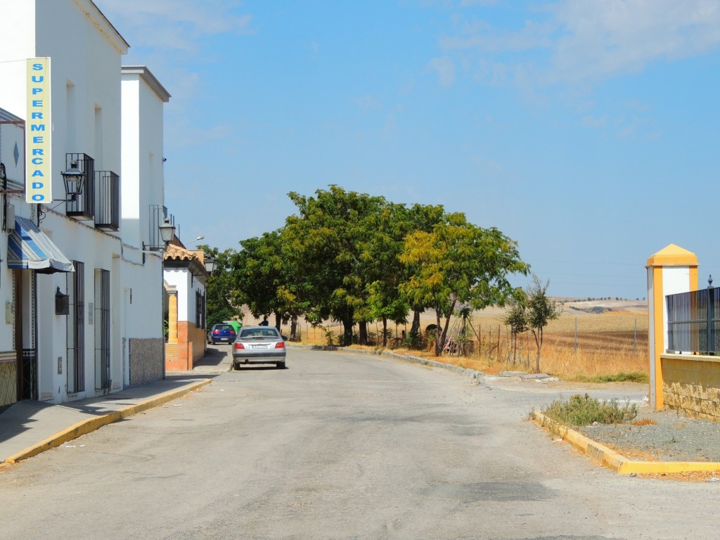 Foto: Calle Alta - Coto de Bornos (Cádiz), España