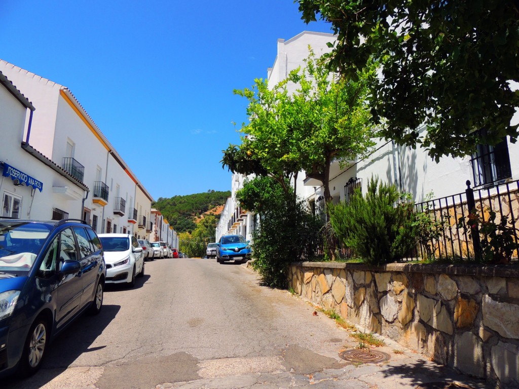 Foto: Calle Ana Rosi - Prado del Rey (Cádiz), España