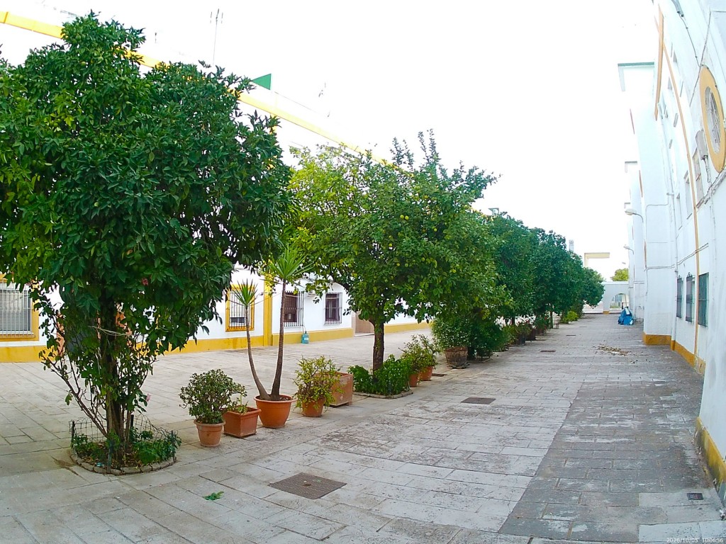 Foto: Patio Carrascal - Jerez de la Frontera (Cádiz), España
