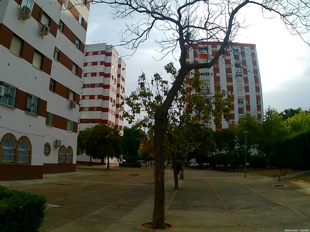 Foto: Plaza Princi Jerez - Jerez de la Frontera (Cádiz), España