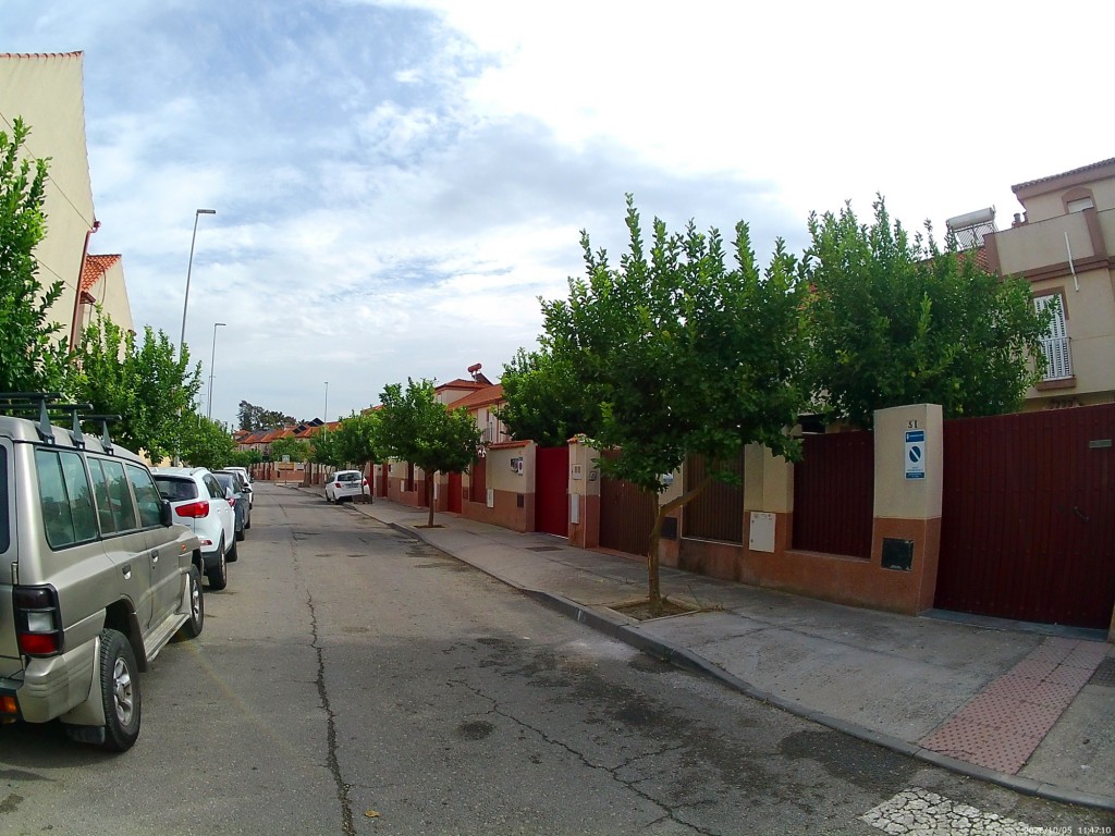 Foto: Calle P. de los Acebuches - Jerez de la Frontera (Cádiz), España