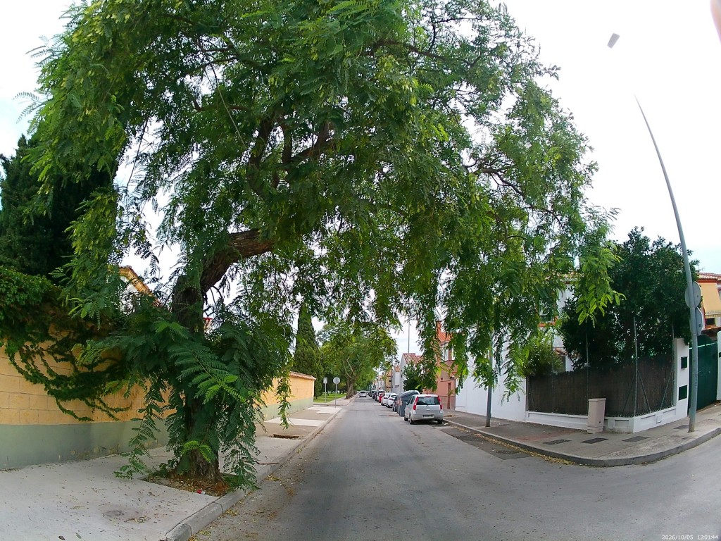 Foto: Calle Parque de Timanfaya - Jerez de la Frontera (Cádiz), España