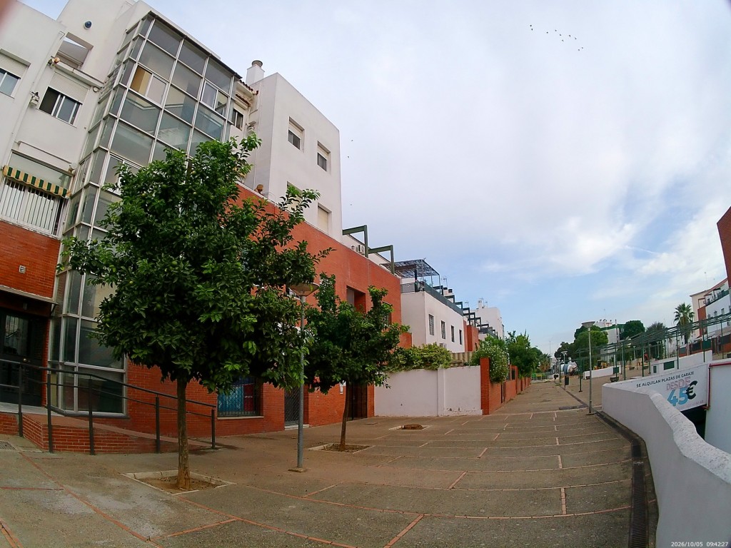 Foto: Paseo Adarves - Jerez de la Frontera (Cádiz), España