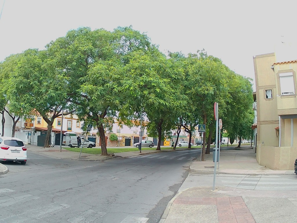 Foto: Calle Medina Azahara - Jerez de la Frontera (Cádiz), España