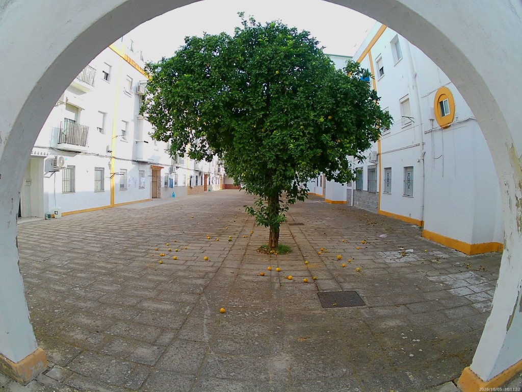 Foto: Patio Tizón - Jerez de la Frontera (Cádiz), España