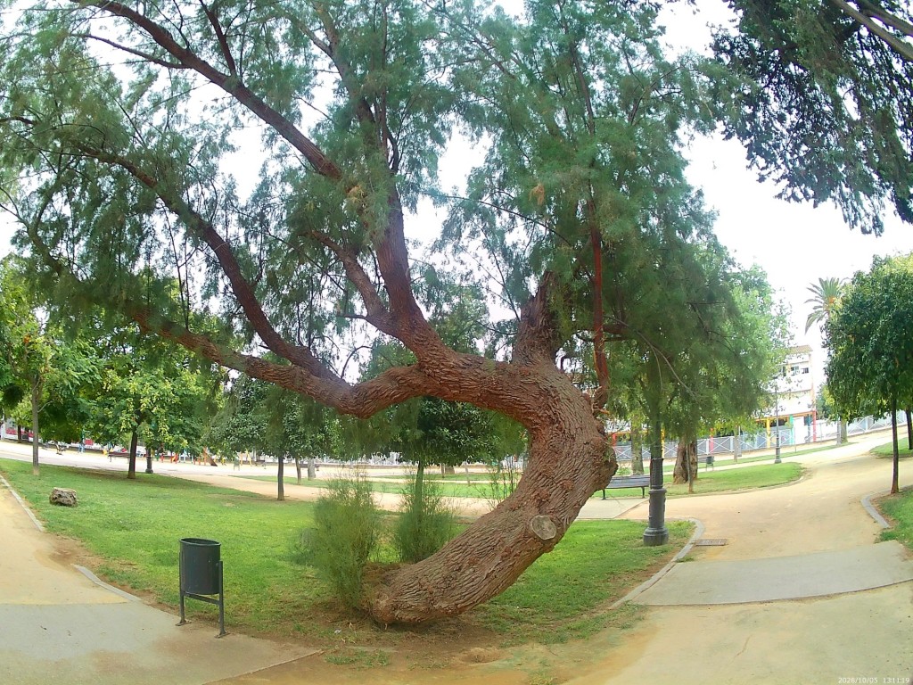 Foto: Parque del Retiro - Jerez de la Frontera (Cádiz), España