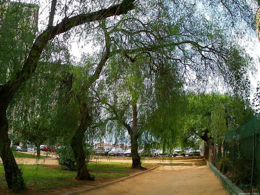 Foto: Avenida Mediterráneo - Jerez de la Frontera (Cádiz), España