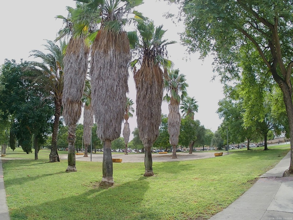 Foto: Parque Xingo - Jerez de la Frontera (Cádiz), España