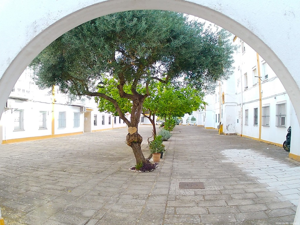 Foto: Patio Largalo - Jerez de la Frontera (Cádiz), España