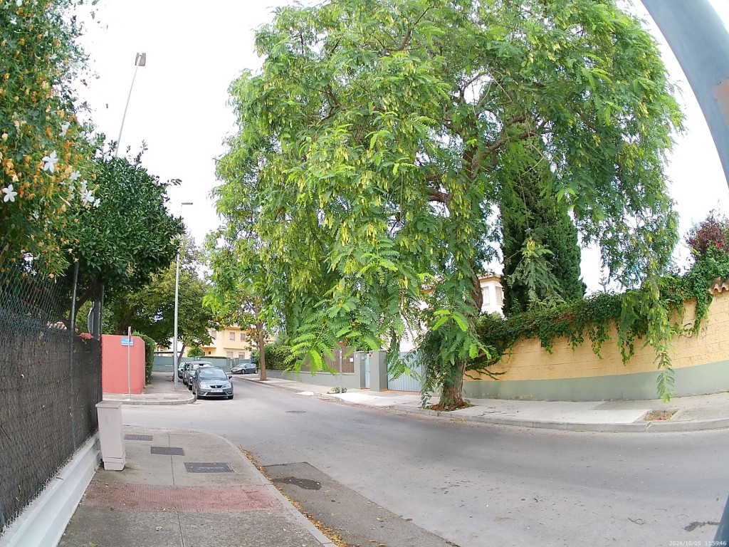 Foto: Calle Parque de Timanfaya - Jerez de la Frontera (Cádiz), España
