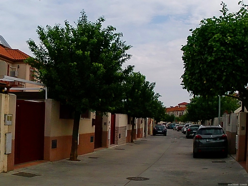 Foto: Calle Manga de Villaluenga - Jerez de la Frontera (Cádiz), España