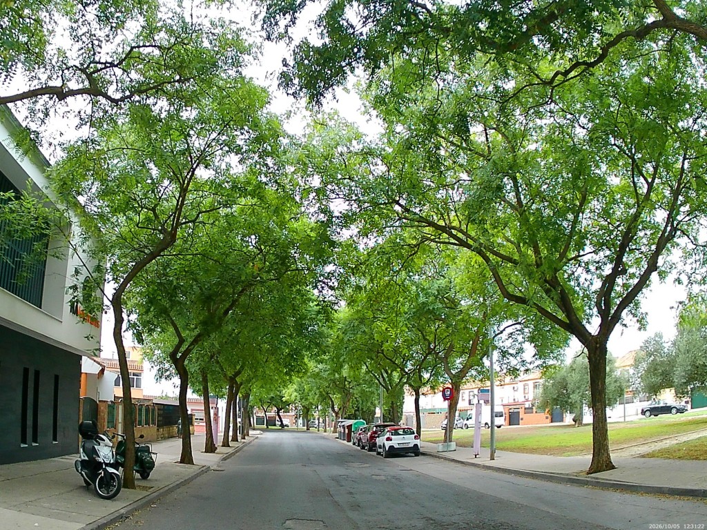 Foto: Calle Medina Azahara - Jerez de la Frontera (Cádiz), España