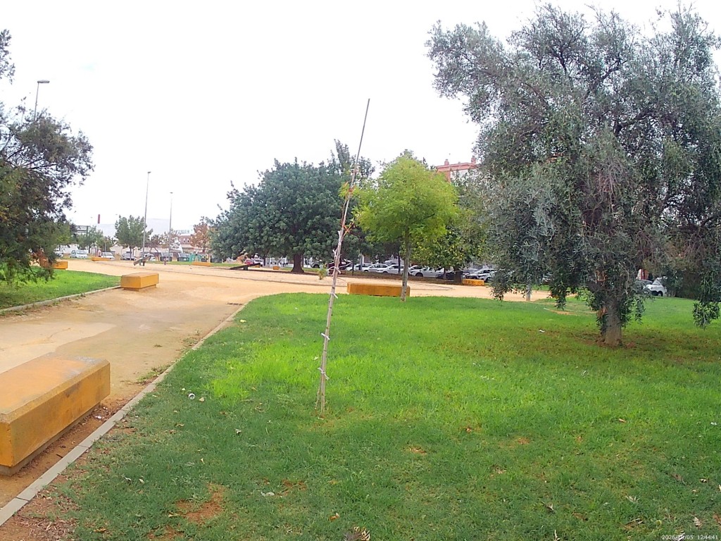 Foto: Parque Mujeres del Pino Grande - Jerez de la Frontera (Cádiz), España