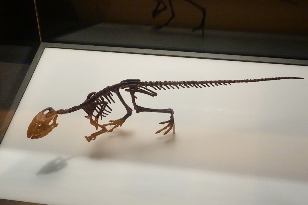 Foto: Mini Dinosaurio - Valencia (València), España