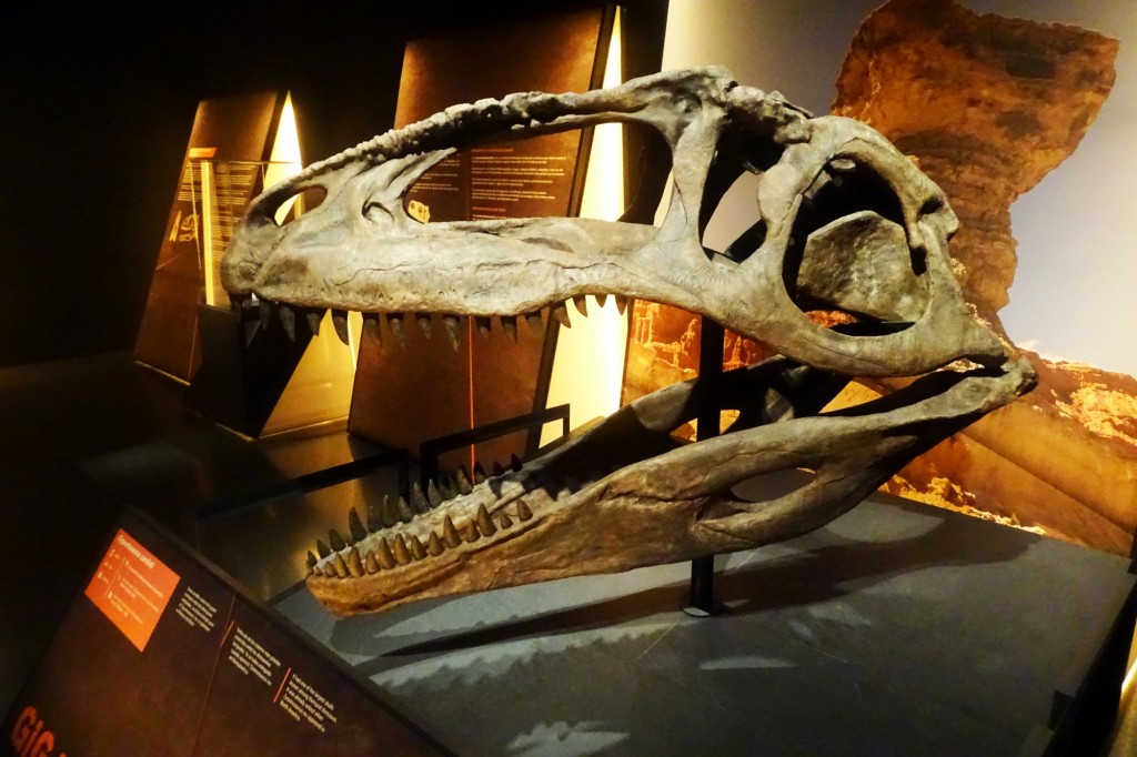 Foto: Cabeza de Dinosaurio - Valencia (València), España