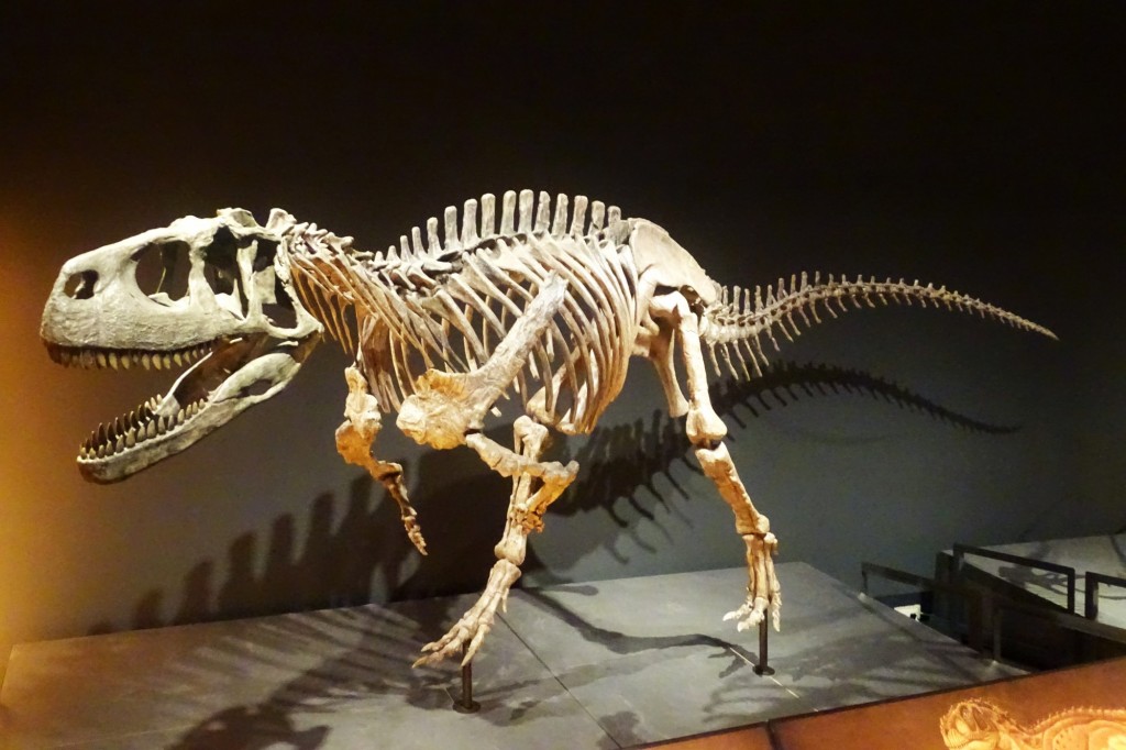 Foto: Dinosaurio - Valencia (València), España