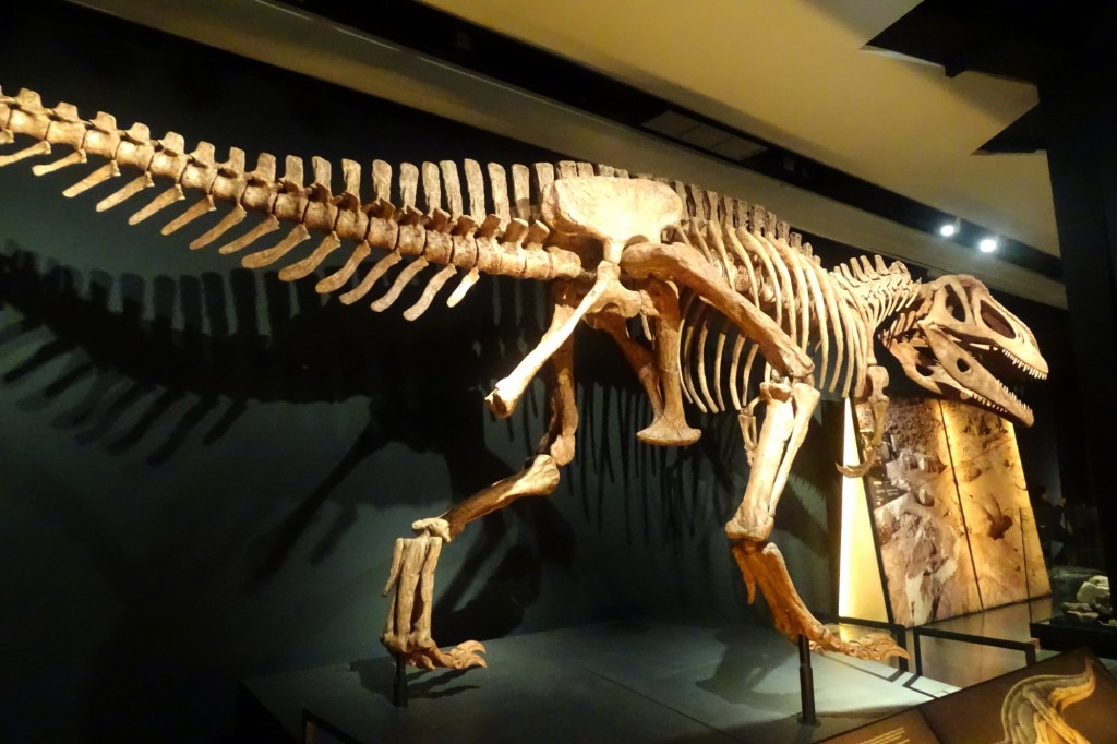 Foto: Dinosaurio - Valencia (València), España