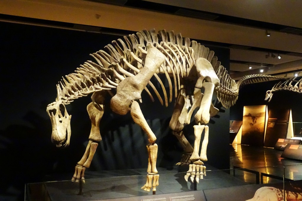 Foto: Dinosaurio - Valencia (València), España