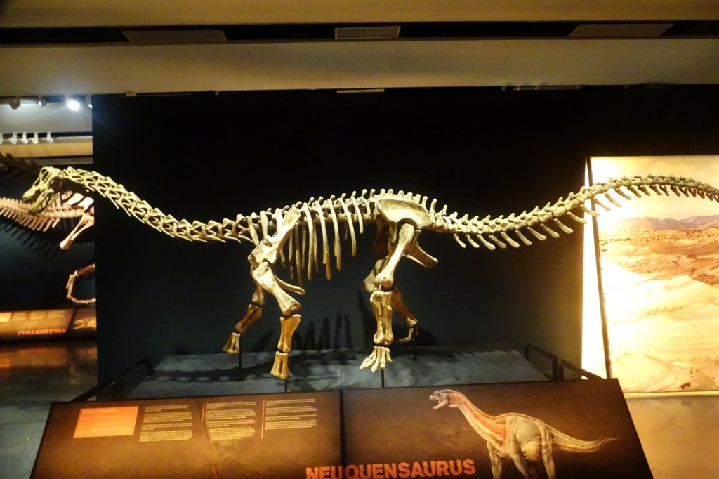 Foto: Dinosaurio - Valencia (València), España