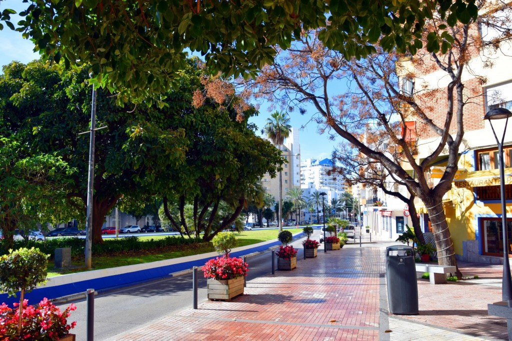 Foto: Avenida Severo Ochoa - Marbella (Málaga), España