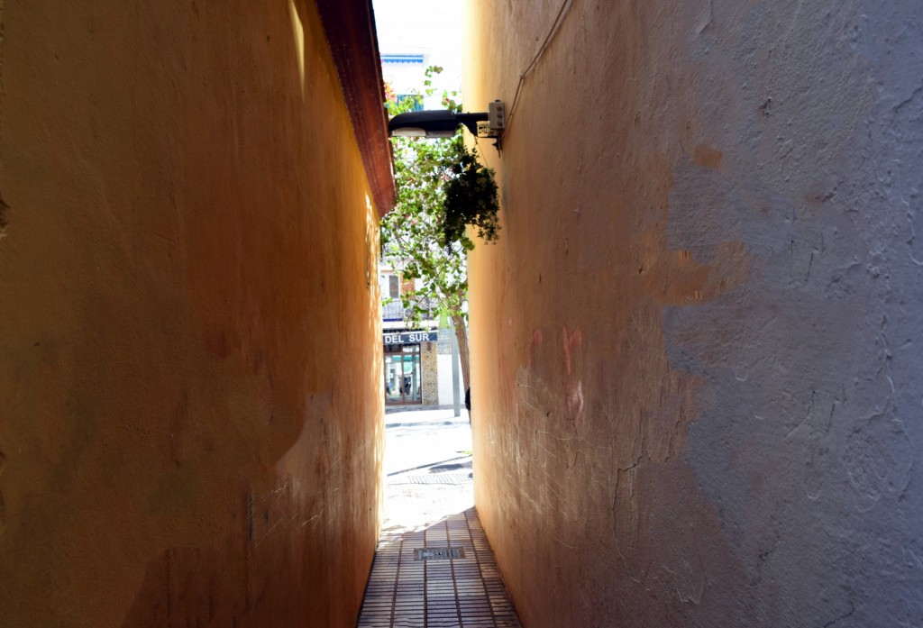 Foto: En Homenaje a Lola Giner - Marbella (Málaga), España