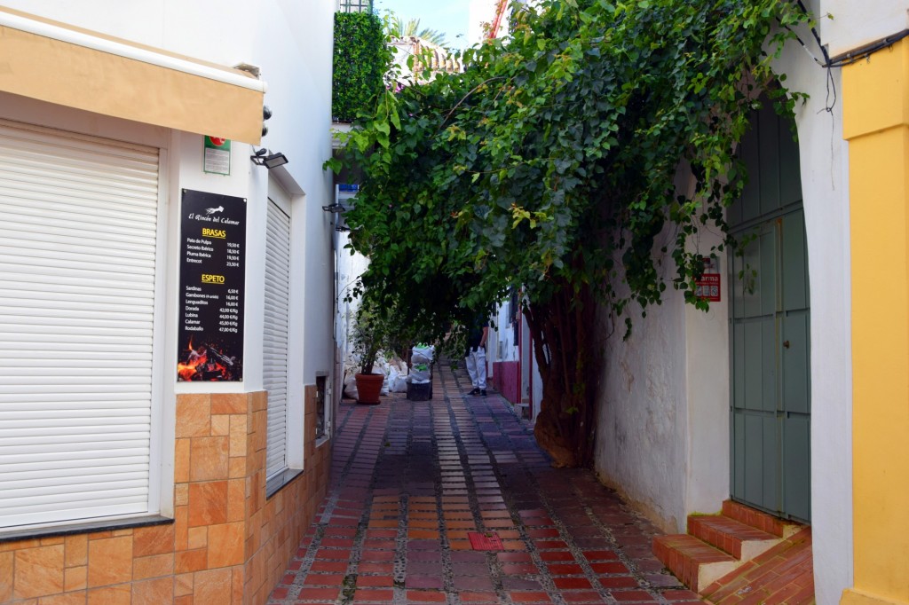 Foto: Patio - Marbella (Málaga), España