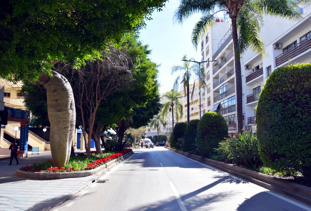 Foto: Avenida Ramón y Cajal - Marbella (Málaga), España
