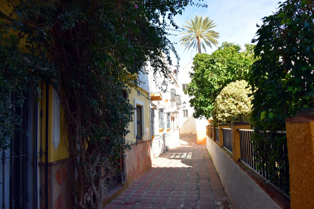 Foto: Calle del Muro - Marbella (Málaga), España
