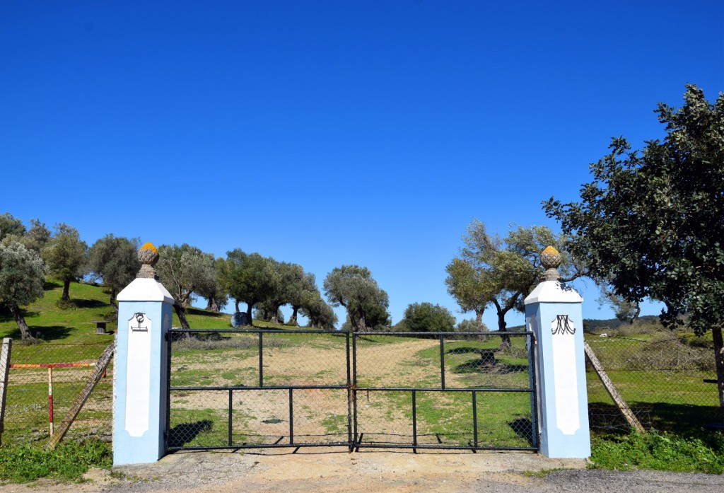 Foto: Ermita Nuestra Señora de los Santos - Alcalá de los Gazules (Cádiz), España