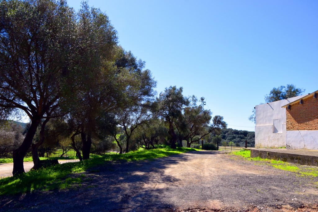 Foto: Ermita de Nuestra Señora de los Santos - Alcalá de los Gazules (Cádiz), España