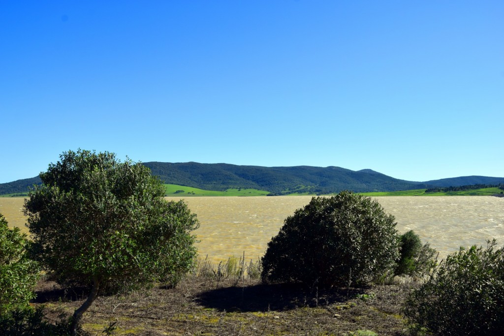 Foto: Cerro de la Cabeza desde la Presa del Barbate - Alcalá de los Gazules (Cádiz), España