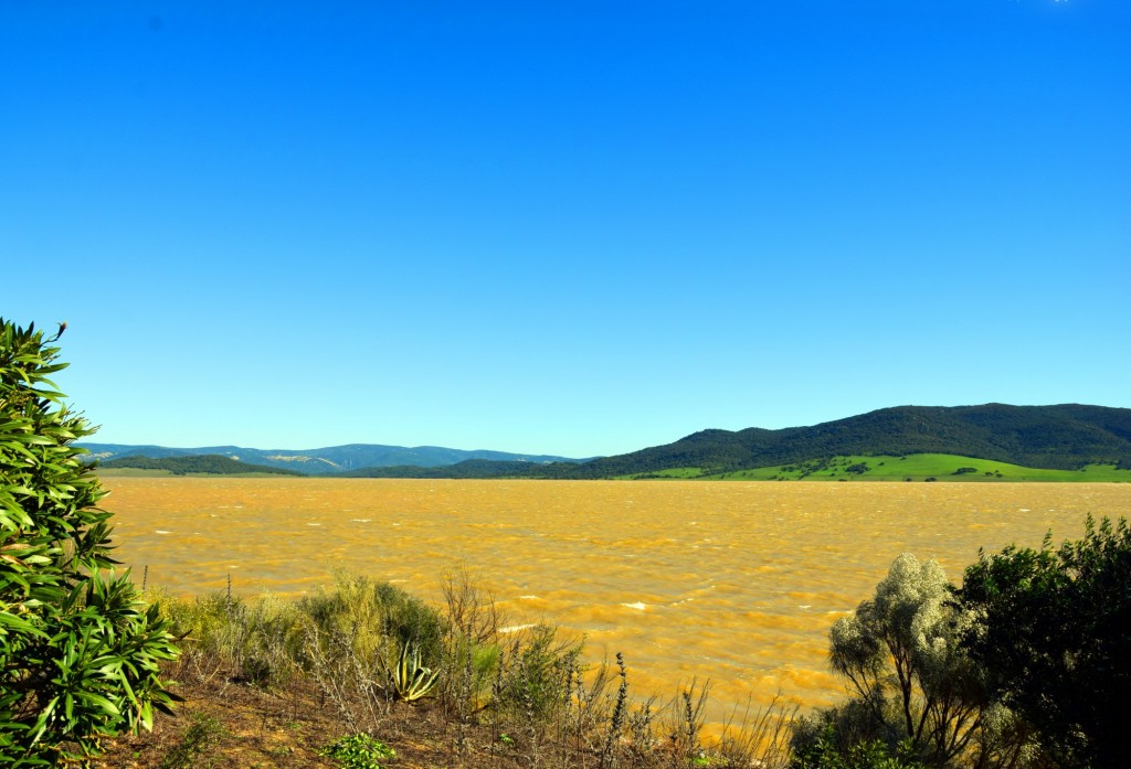 Foto: El agua es principalmente usada para el riego - Alcalá de los Gazules (Cádiz), España