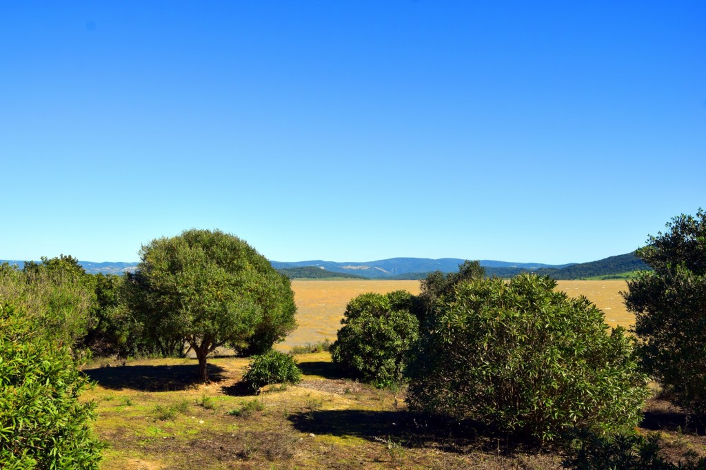 Foto: A orillas del pantano desde la Presa del Barbate - Alcalá de los Gazules (Cádiz), España
