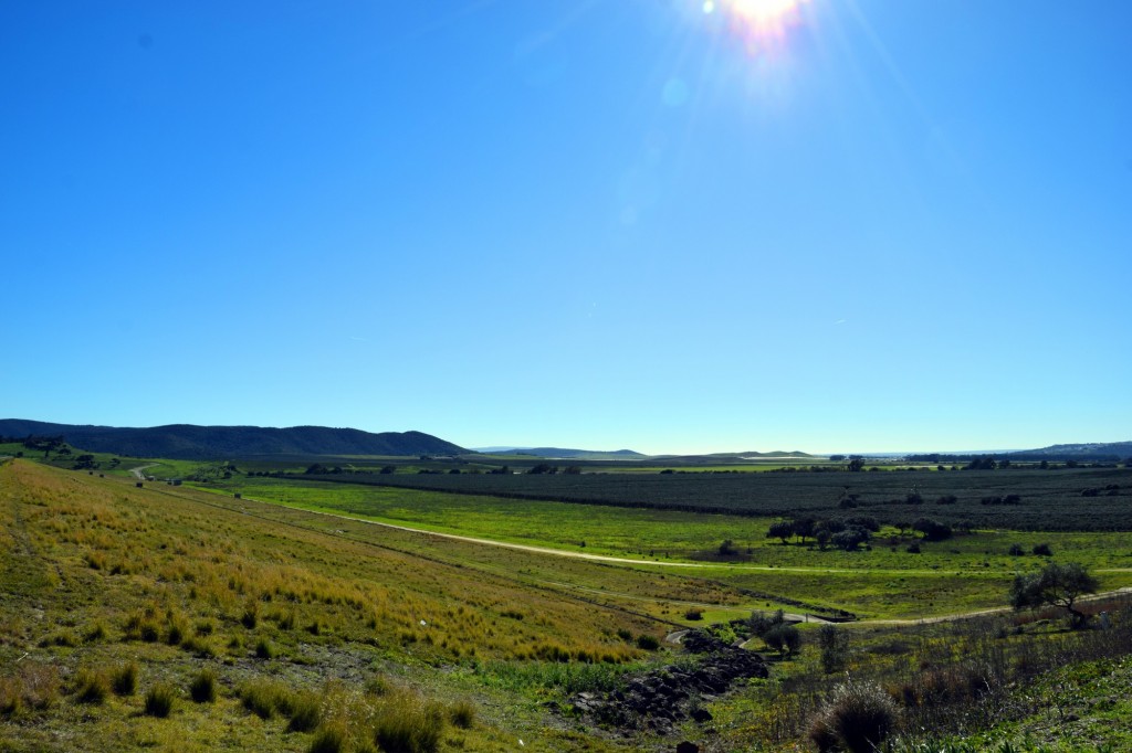 Foto: Vega de las Herraduras desde la Presa de Barbate - Alcalá de los Gazules (Cádiz), España