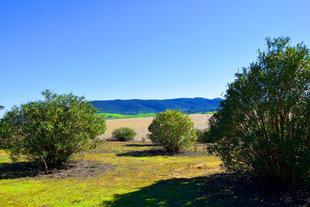 Foto: desde la Presa del Barbate - Alcalá de los Gazules (Cádiz), España