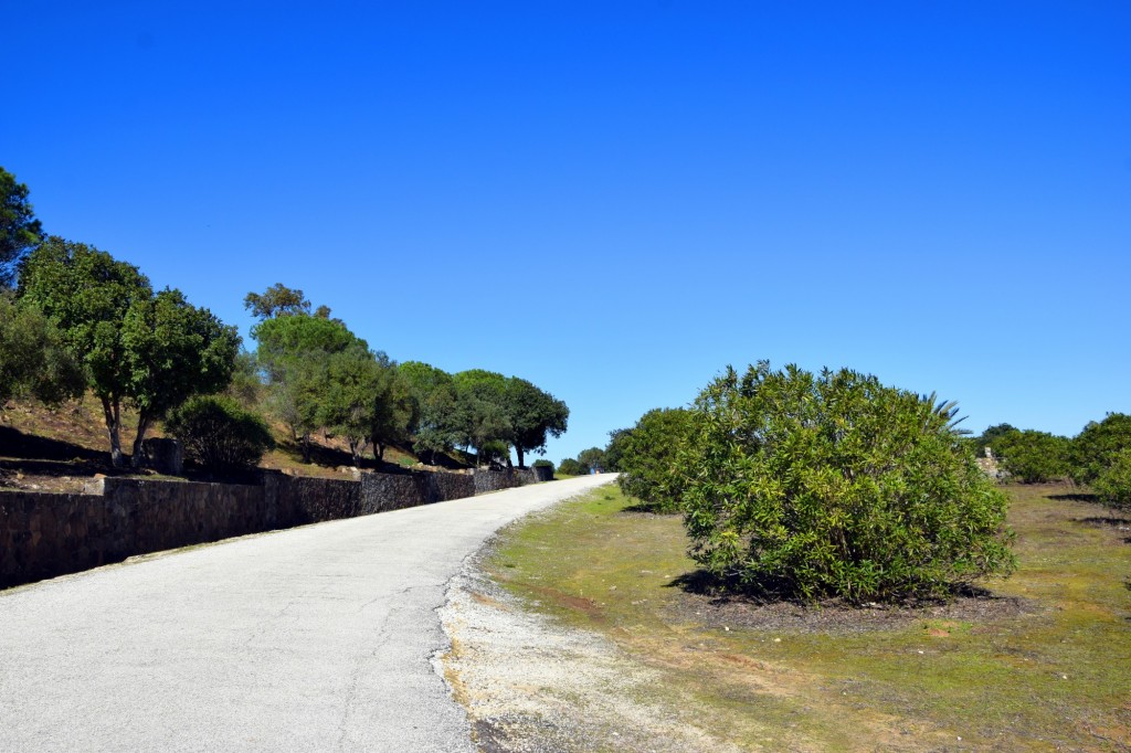 Foto: Carretera de acceso a la Presa Barbate - Alcalá de los Gazules (Cádiz), España
