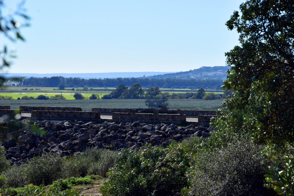 Foto: Pertenece a la Cuenca hidrográfica Guadalete-Barbate - Alcalá de los Gazules (Cádiz), España