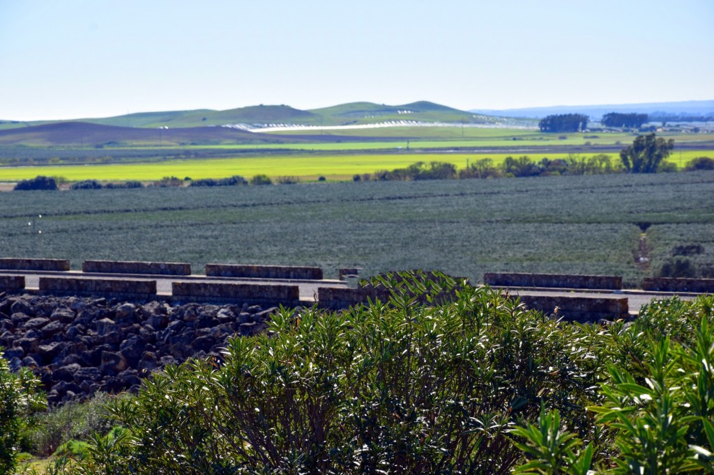 Foto: Vista a las Vegas de las Beatas desde la Presa del Barbate - Alcalá de los Gazules (Cádiz), España