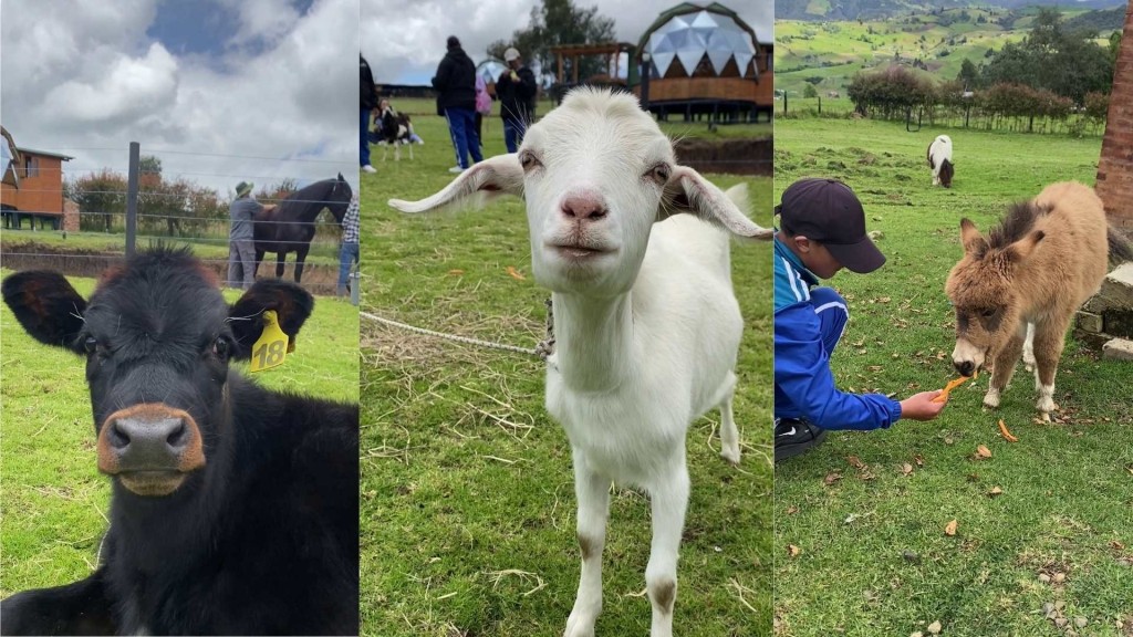Foto: Villa Rebequita - Villapinzón (Cundinamarca), Colombia