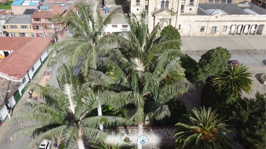 Foto: Iglesia San Juan Bautista de Villapinzón - Villapinzón (Cundinamarca), Colombia