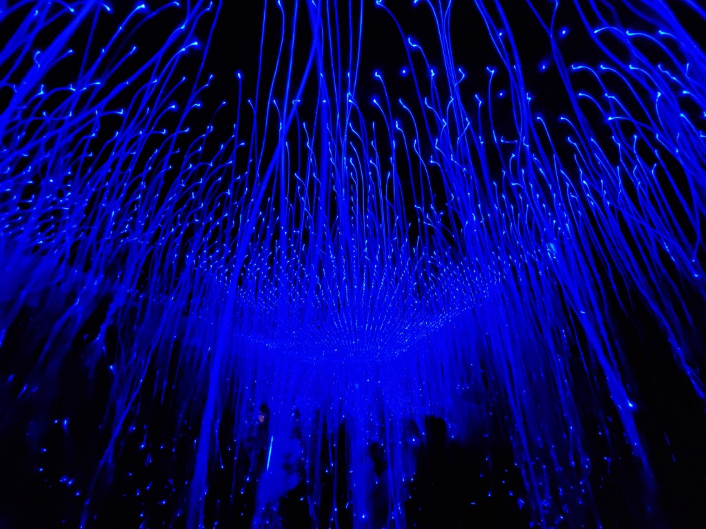 Foto: Luces en el hospital de Sant Pau - Barcelona (Cataluña), España