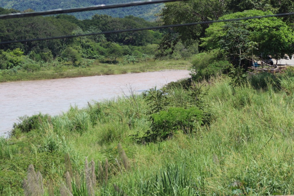 Foto de Paso Real (Puntarenas), Costa Rica