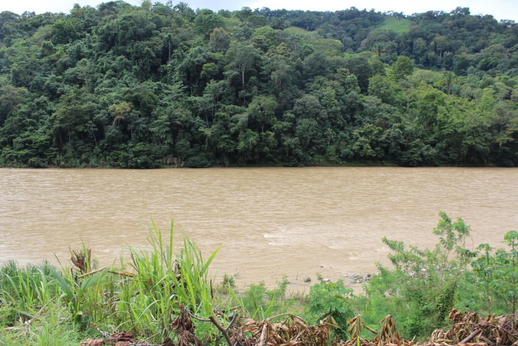 Foto de Paso Real (Puntarenas), Costa Rica