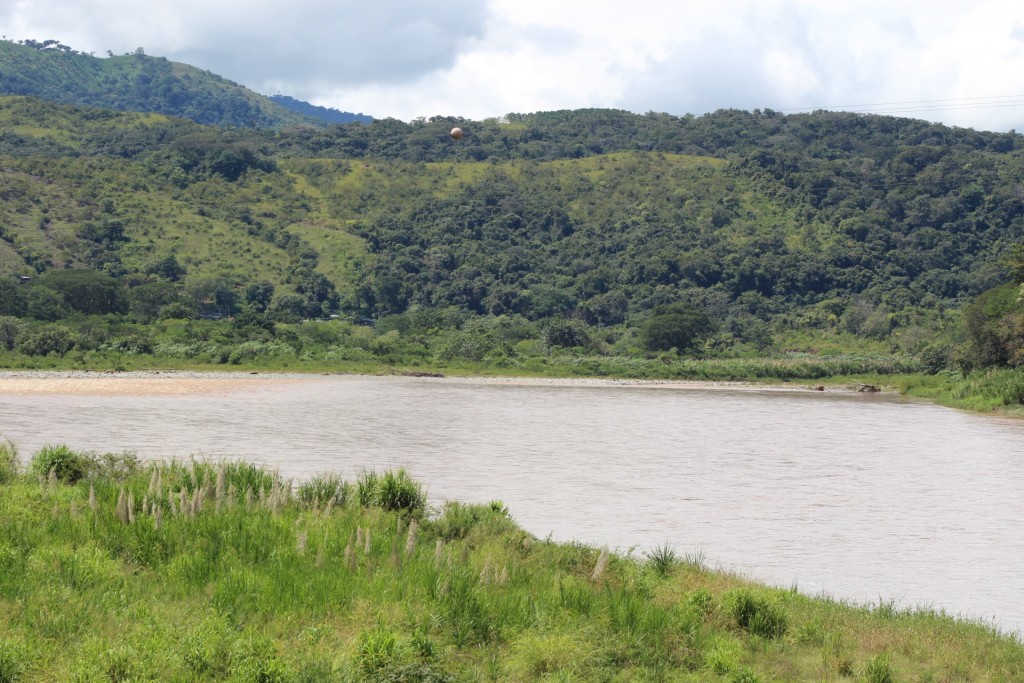 Foto de Paso Real (Puntarenas), Costa Rica