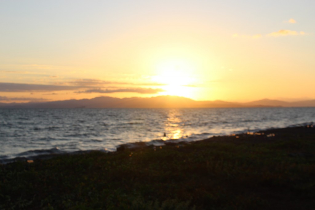 Foto de La Angostura (Puntarenas), Costa Rica