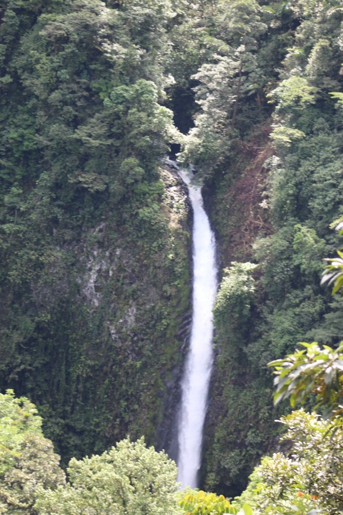 Foto de La fortuna, San carlos (Alajuela), Costa Rica