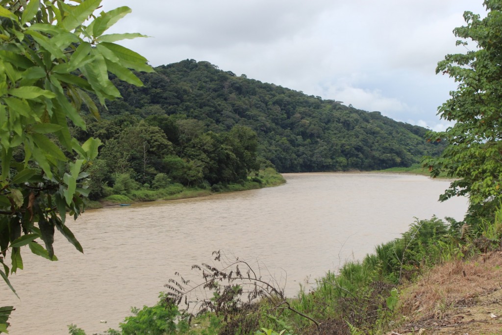 Foto de Paso Real (Puntarenas), Costa Rica