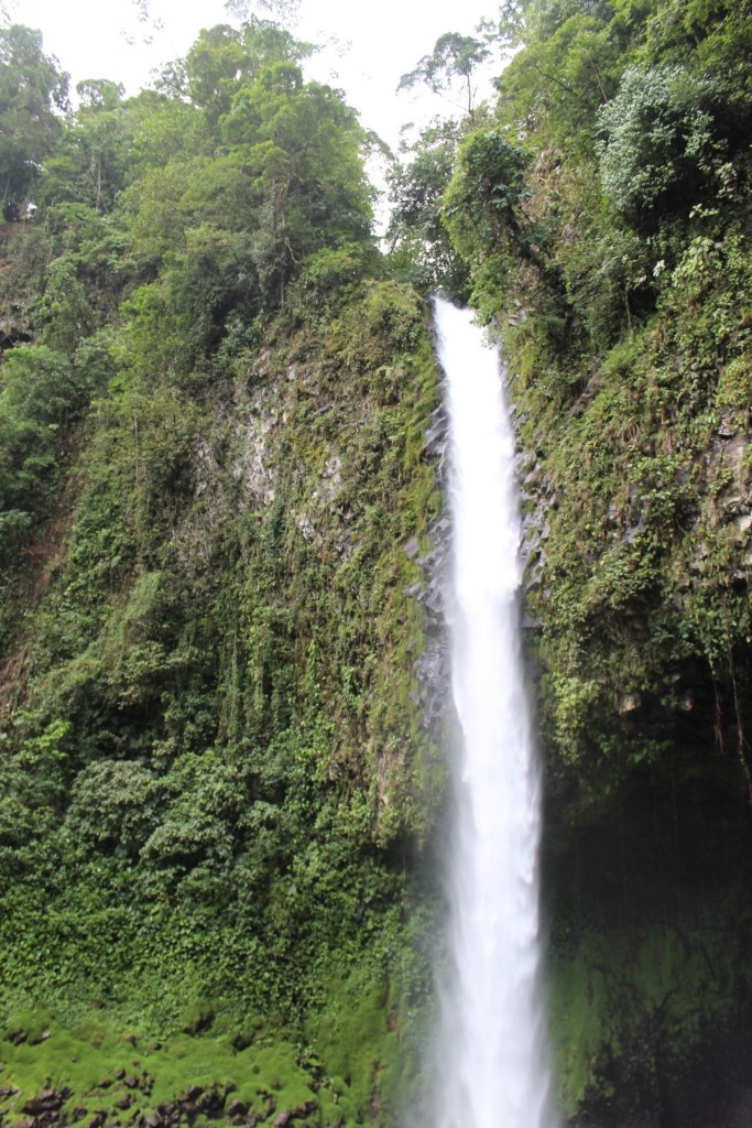 Foto de La fortuna, San carlos (Alajuela), Costa Rica