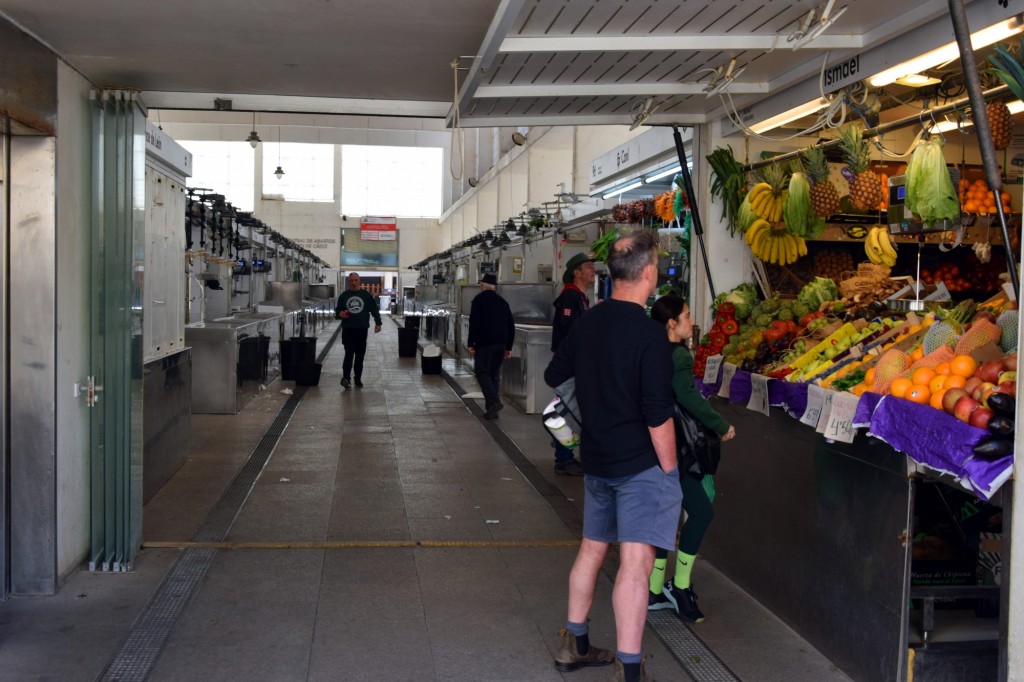 Foto: Se levanda en la antigua huerta del Convento de los Descalzos - Cádiz (Andalucía), España